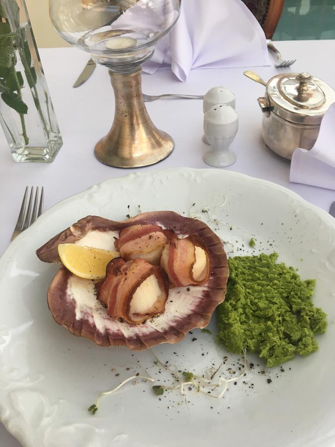 Palac Piorunow & Spa クフィアトコビツェ エクステリア 写真